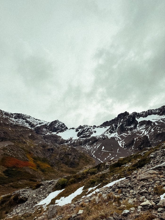 pexels photo 16232883.jpg